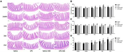 Aspirin eugenol ester affects ileal barrier function, inflammatory response and microbiota in broilers under lipopolysaccharide-induced immune stress conditions